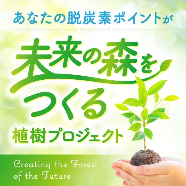 【ESG推進室】脱炭素計測アプリ「SPOBY」を活用し、社員のCO₂削減貢献で植樹を達成